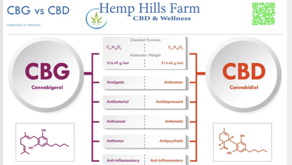 CBG vs CBD